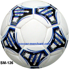 Professional Soccer balls